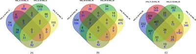 Identification of key genes and molecular pathways regulating heat stress tolerance in pearl millet to sustain productivity in challenging ecologies